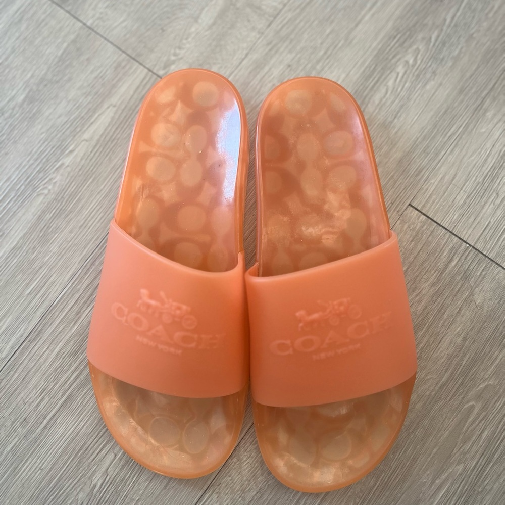 Coach Jelly Slides